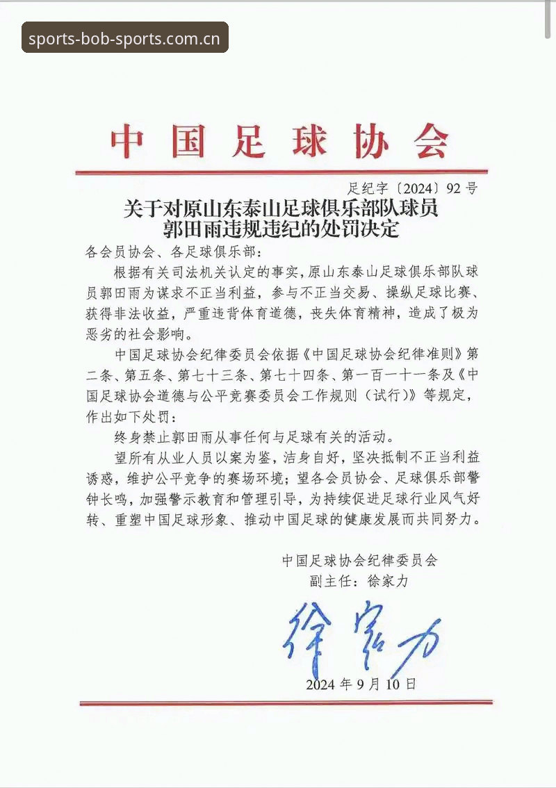 中国足协第三批禁足名单深度解读教程——透视行业整顿背后的体育公平之道